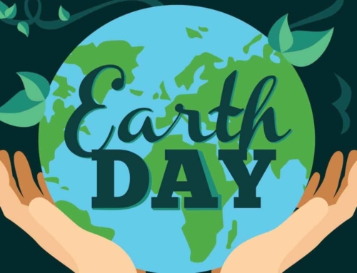 Earth Day – How Can We Raise Kids In A More Sustainable Way?