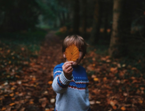 Autumn DIY Adventures: Fun And Festive Arts & Crafts For The Whole Family